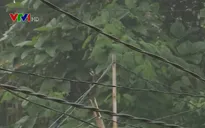 Nhiều hộ dân ở Phú Thọ hàng chục năm không có điện lưới