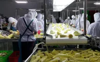 Nông dân được hưởng lợi từ chuỗi giá trị chế biến nông sản