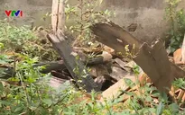 Ẩn họa từ những kho thuốc bảo vệ thực vật tồn lưu