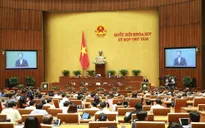 Hôm nay (7/11), các thành viên Chính phủ tiếp tục trả lời chất vấn