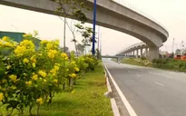 Chính thức thông xe nút giao thông Đại học Quốc gia TP.HCM