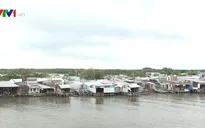Cà Mau ban bố tình trạng sạt lở khẩn cấp