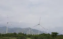 Ninh Thuận thêm dự án điện gió phát điện thương mại