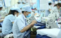 Xu hướng lực lượng lao động giảm tại nhiều nước