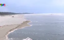 Nước biển Quảng Ngãi đổi màu cà phê: Nồng độ pH vượt mức cho phép