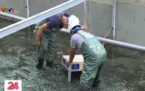 Vụ xử lý ô nhiễm sông Tô Lịch: JEBO gửi lời xin lỗi Chủ tịch UBND thành phố Hà Nội