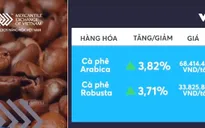 Giá cà phê thế giới tăng lên mức đỉnh của nhiều năm