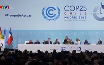 Đoàn Việt Nam đàm phán chính trị tại COP25