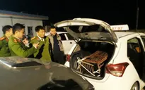 Bắt giữ đối tượng vận chuyển gấu đi tiêu thụ