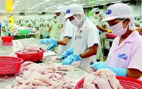 Thị trường xuất khẩu cá tra có nhiều thay đổi