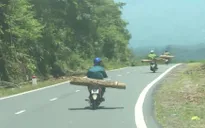 Ngăn chặn đường dây gỗ lậu cuối năm