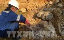 Hà Nội giao cơ quan công an làm rõ vụ đổ trộm chất thải