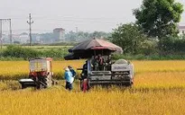 Phát triển hợp tác xã nông nghiệp ứng phó biến đổi khí hậu