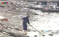 Giảm thiểu ô nhiễm môi trường tại Âu thuyền Thọ Quang