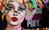 “Birds of Prey” sẽ không có sự liên kết với “Suicide Squad”