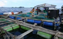 Đề xuất khoanh nợ cho hộ dân bị thiệt hại do thiên tai