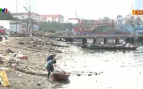 Thực hiện nhiều biện pháp giảm thiểu ô nhiễm môi trường âu thuyền Thọ Quang