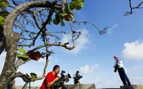 10 tác phẩm đạt giải cuộc thi ảnh "Những người làm truyền hình" tại LHTHTQ lần thứ 39