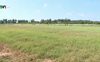 Ứng phó hạn mặn nhờ hệ thống thủy lợi