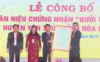 Hòa Bình: 4 sản phẩm cây ăn quả có múi được công bố nhãn hiệu tập thể