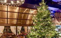 Cây thông Noel đắt giá nhất thế giới