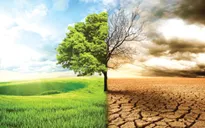 Tình trạng khẩn cấp về khí hậu trên toàn thế giới
