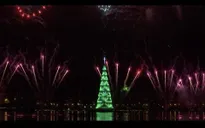 Thắp sáng cây thông Noel khổng lồ ở Brazil