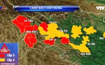 Nguy cơ cháy rừng cao do thời tiết bất thường