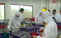 Chế biến nông sản ĐBSCL: Quy mô nhỏ nhưng không yếu