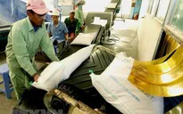Việt Nam đứng thứ 4 tại Đông Nam Á về an ninh lương thực