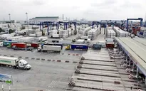 TP.HCM đón TEU thứ 5 triệu qua Tân Cảng - Cát Lái