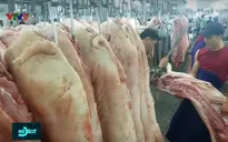 Cung cấp đủ thịt lợn phục vụ Tết Canh Tý cho người dân TP.HCM