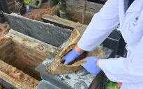 Bắc Kạn: Hàng loạt mộ liệt sỹ không có hài cốt, chỉ toàn đất đá