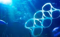 Dọn rác dưới biển Aegean