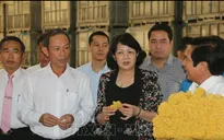 Biểu dương hoạt động thi đua khen thưởng của Tổng Công ty Cao su Đồng Nai