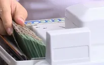 HSBC Việt Nam: Tỷ giá năm 2020 là biến số khó lường