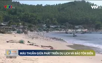 Mâu thuẫn giữa phát triển du lịch và bảo tồn biển