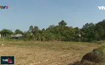 Chuyển đổi cơ cấu cây trồng, vật nuôi để ứng phó với hạn mặn