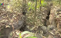 Thái Nguyên: Xuất hiện sạt lở, vết nứt lớn tại Núi Hồng