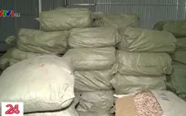 Hiểm họa từ những kho hàng thuốc lậu quy mô lớn