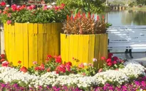 Phát triển bền vững du lịch từ chuyện xây dựng thương hiệu tại Lễ hội hoa Đà Lạt