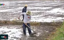 Dự báo thiên tai dài hạn giúp hạn chế rủi ro trong sản xuất