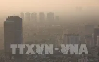 TP.HCM: Sở Giao thông vận tải công bố 5 giải pháp giảm ô nhiễm không khí