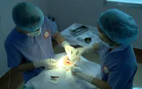 Bùng nổ dịch vụ thẩm mỹ