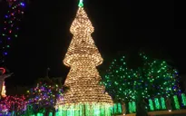 Độc đáo cây thông Noel làm từ hơn 2.000 chiếc nón lá