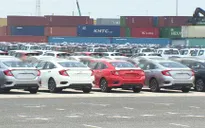 133.700 ô tô nguyên chiếc cập cảng Việt Nam, tăng gần gấp đôi năm 2018