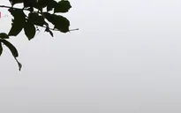 Hà Nội chìm trong sương mù như ở Sa Pa