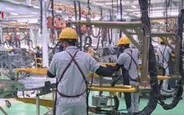 Phục hồi kinh tế sau đại dịch COVID-19