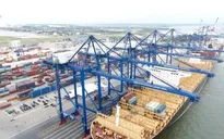 Cảnh báo giả danh doanh nghiệp Na Uy để lừa đảo