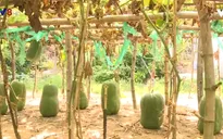 Bình Định thí điểm phát triển du lịch làng nghề và du lịch cộng đồng